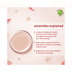 Plum Hibiscus & Ceramides Long & Healthy Shampoo 250Ml