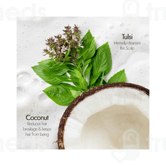 Kapiva Hair Rituals Tulsi Hairfall Control Shampoo 250ml