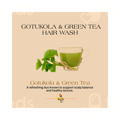 Ashpveda Green Tea & Gotu Kola Hair Wash 100ml
