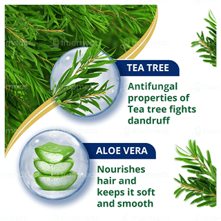 Himalaya Anti Dandruff New Improved Tea Tree Shampoo 180Ml