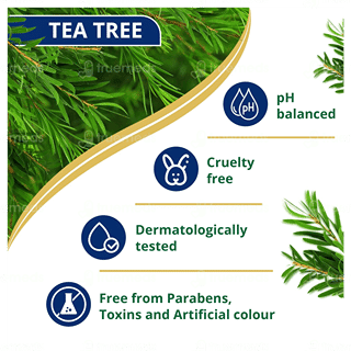 Himalaya Anti Dandruff New Improved Tea Tree Shampoo 180Ml