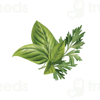 Biotique Basil And Parsley Revitalizing Body Soap 150 Gm