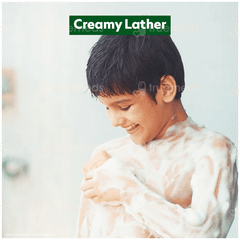 Dettol Original 150gm Pack Of 6 Soaps