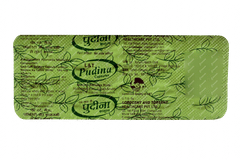 Pudina L & T Capsule 10
