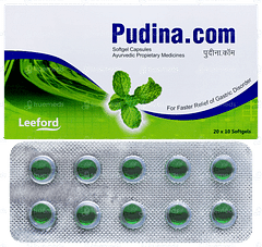 Pudina.com Capsule 10