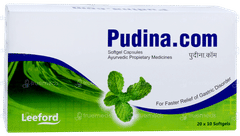 Pudina.com Capsule 10