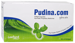 Pudina.Com Capsule 10 Pudina.Com Capsule 10