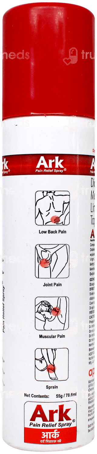 Ark Pain Relief Spray 55Gm