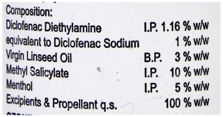 Ark Pain Relief Spray 55Gm