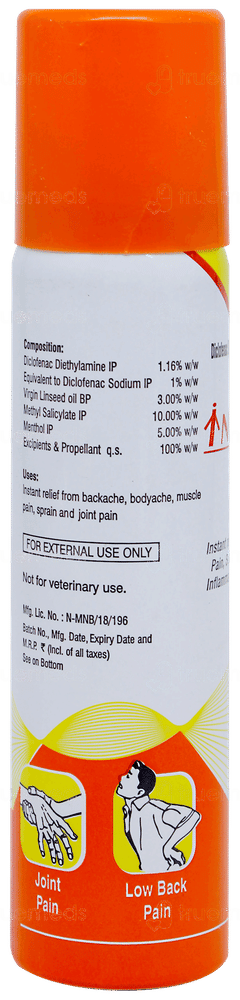 Intagesic Spray 55gm