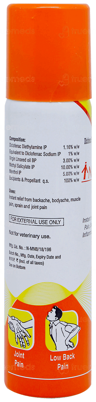 Intagesic Spray 55gm
