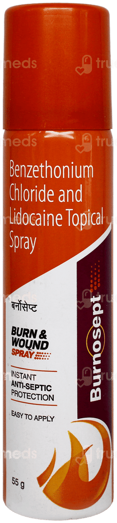 Burnosept Spray 55Gm