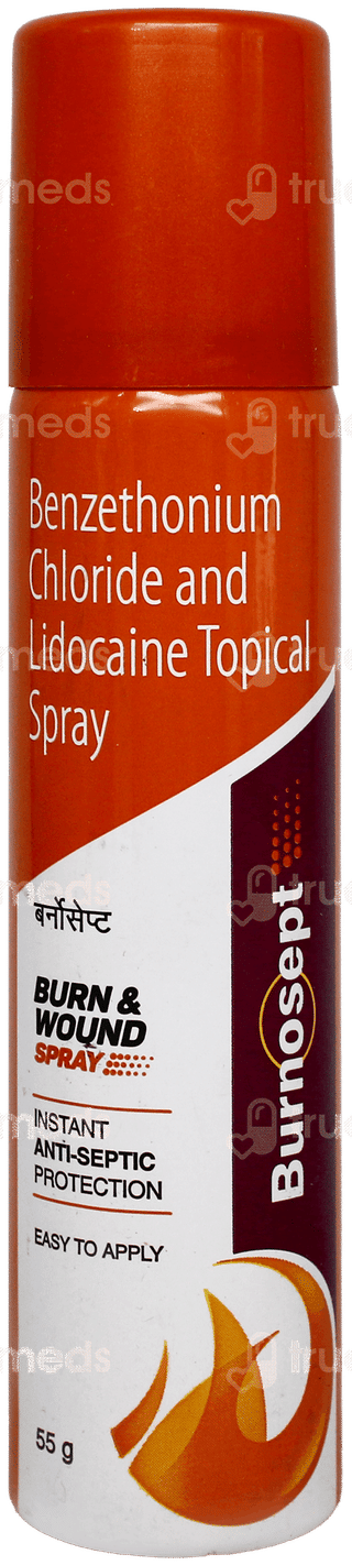 Burnosept Spray 55Gm