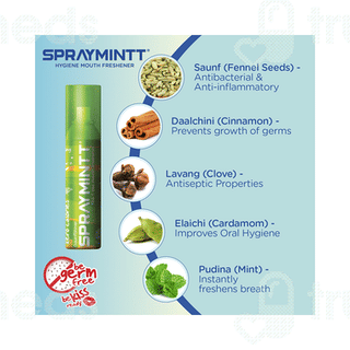 Spraymintt Icymint Mouth Freshener Spray 15Gm