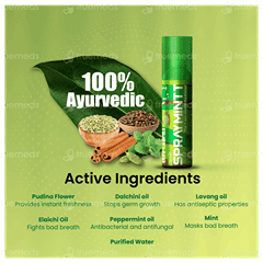 Spraymintt Elaichill Flavour Mouth Freshener Spray 15Gm