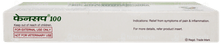 Fensupp 100 Suppositories 5