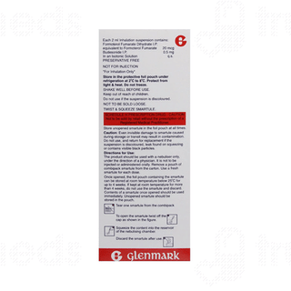 Nebzmart B 0.5mg 2ml Pack Of 7 Smartules