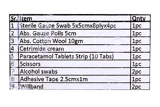 Medilix First Aid Mini Kit 1