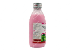 Relcer Mps Plus Mint Flavour Suspension 170ml