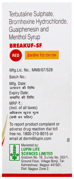 Breakuf Sf Red Syrup 100ml