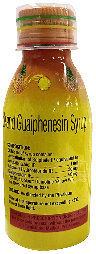 Salmodil Ls Sugar Free Syrup 100Ml