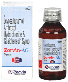 Zorvin Ag Sugar Free Syrup 100Ml