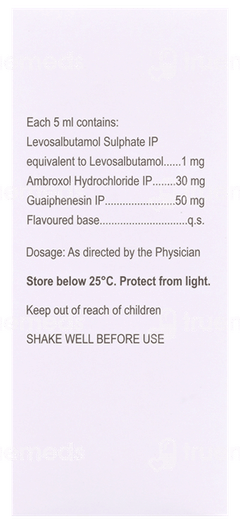 Zorvin Ag Sugar Free Syrup 100Ml