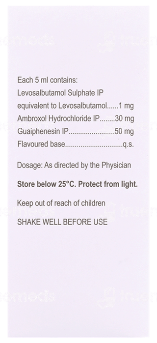 Zorvin Ag Sugar Free Syrup 100Ml