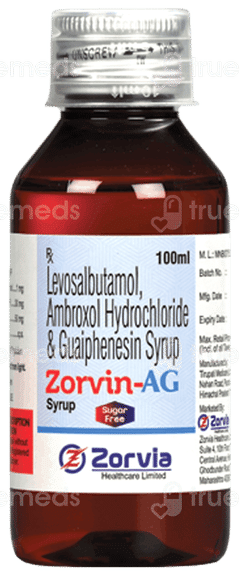 Zorvin Ag Sugar Free Syrup 100Ml