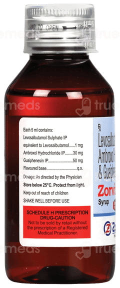 Zorvin Ag Sugar Free Syrup 100Ml