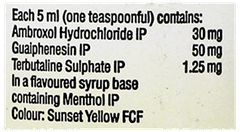 Dilo Bm Expectorant 100Ml
