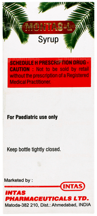 Montas L Mix Fruit Flavour Syrup 60ml