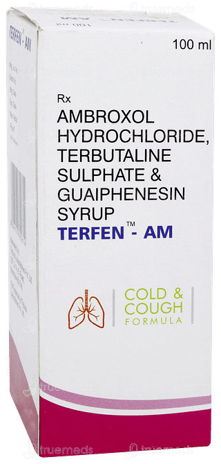 Terfen Am Syrup 100ml