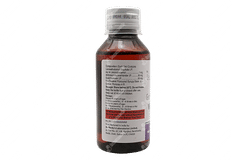 Viscodyne Ls Expectorant 100ml