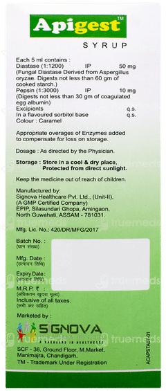 Apigest Sugar Free Syrup 200ml