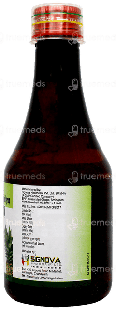 Apigest Sugar Free Syrup 200ml