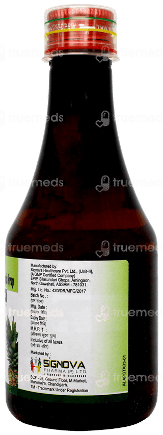 Apigest Sugar Free Syrup 200ml