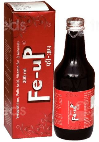 Fe Up Syrup 300 Ml