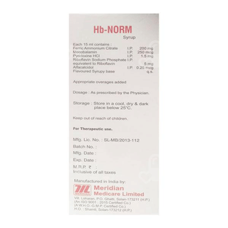 Hb Norm Syrup 200Ml