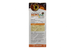 Ignicar Mango Flavour Syrup 200ml