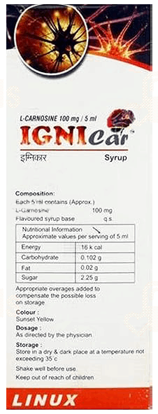 Ignicar Mango Flavour Syrup 200Ml