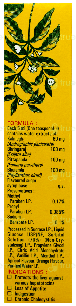 Stimuliv Syrup 100Ml