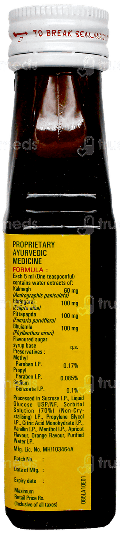 Stimuliv Syrup 100Ml Stimuliv Syrup 100Ml