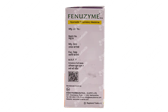 Fenuzyme Baby Ginger And Fennel Flavour Syrup 60ml