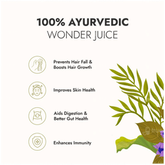 Kapiva Ayur Foods Wild Amla Juice 1 L