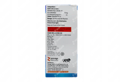 Ranivac Mint Flavour Syrup 60ml Ranivac Mint Flavour Syrup 60ml