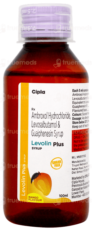 Levolin Plus Mango Flavour Sugar Free Syrup 100ml
