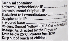 Levolin Plus Mango Flavour Sugar Free Syrup 100Ml Levolin Plus Mango Flavour Sugar Free Syrup 100Ml