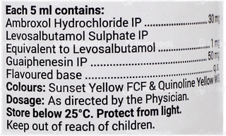Levolin Plus Mango Flavour Sugar Free Syrup 100Ml