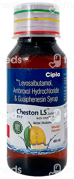 Cheston Ls Junior Mango Flavour Sugar Free Syrup 60ml
